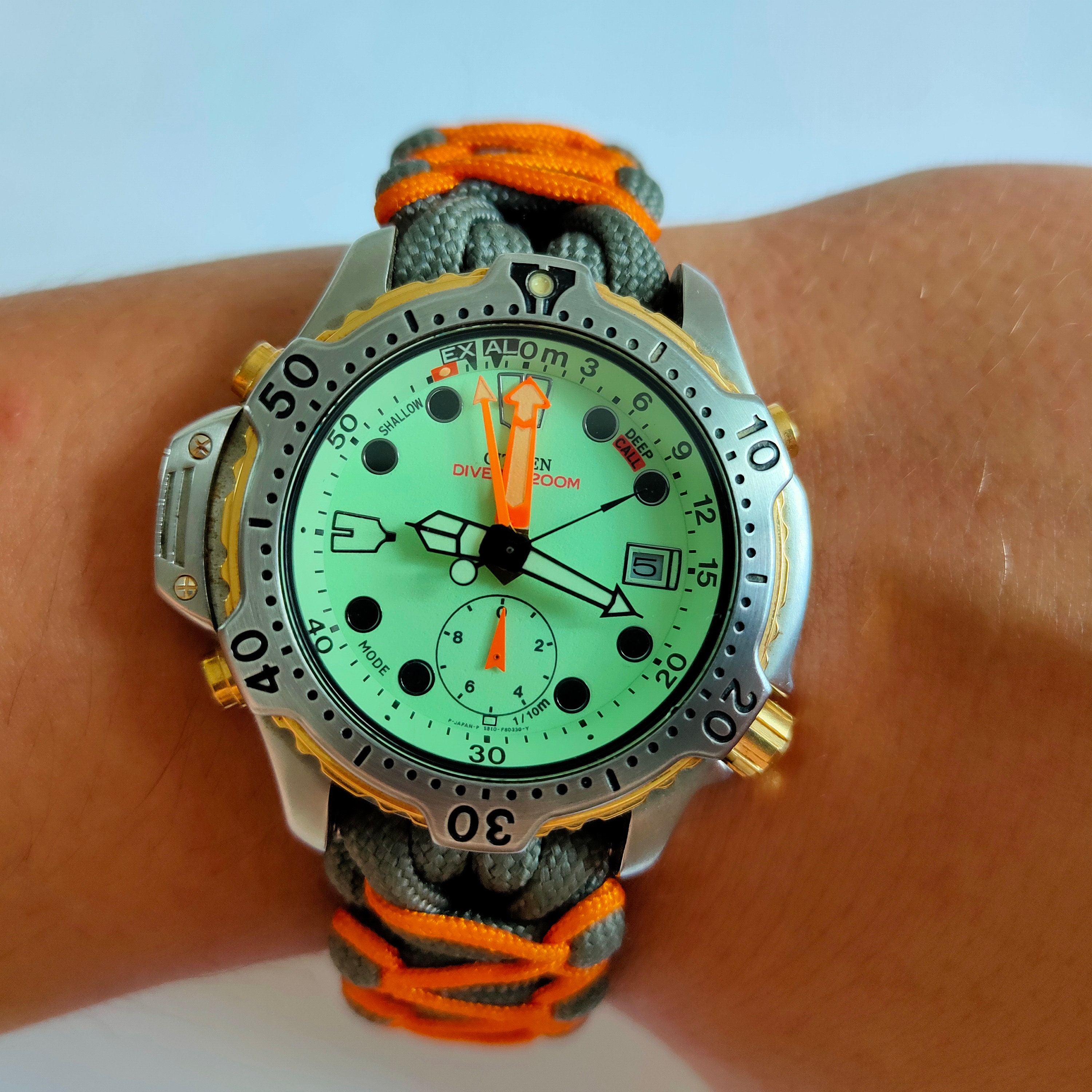 citizen aqualand promaster diver