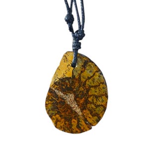 Ammonite fossil Necklace in pyrite