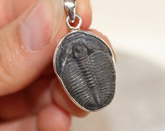 Trilobite Fossil Pendant Sterling silver
