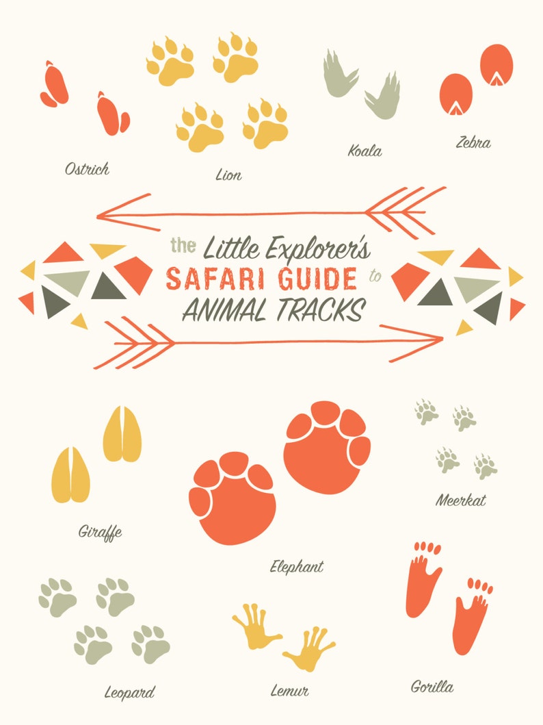 Download Safari Nursery Art Animal Tracks Baby Animal Prints | Etsy