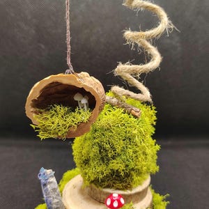 Woodland Lapis Lazuli/Hanging Walnut Shell Jumping Spider Playground Jumping Spider Decor