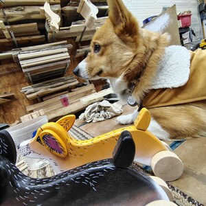 May include: Two wooden toy dogs, one black and white and one yellow, with wheels. A brown and white dog is looking at the toys.