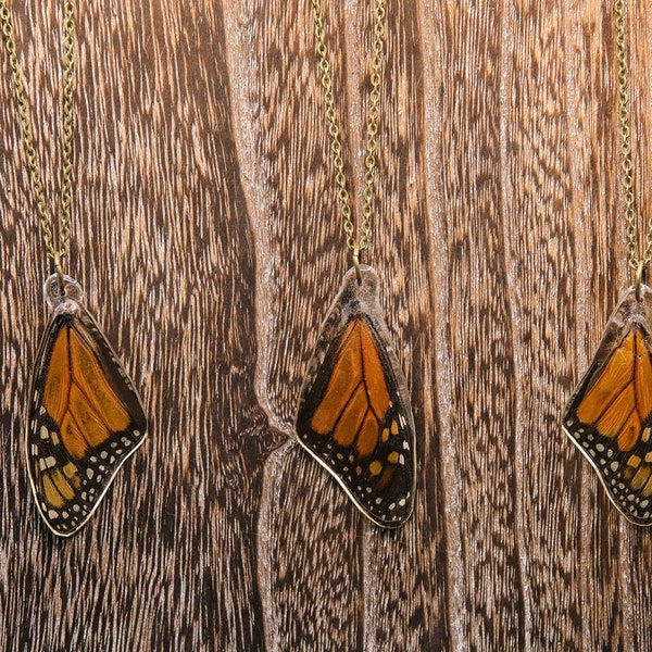 REAL MONARCH Butterfly Wing NECKLACE (No Harm) for the Nature Lover