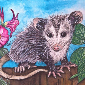 Possum Limited Art Print Unique Wall Decor for the Animal/Nature Lover