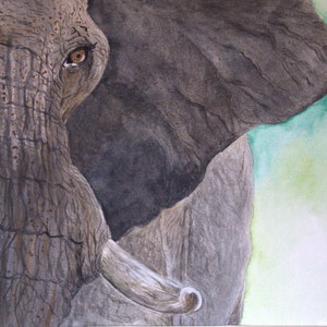 Elephant Limited Art Print Unique Wall Decor for the Animal/Nature Lover
