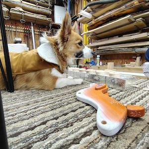 May include: A brown and white dog wearing a brown jacket is lying on a striped rug. The dog is looking at a wooden toy with numbers 1 through 9 on it. The toy is on a gray surface.