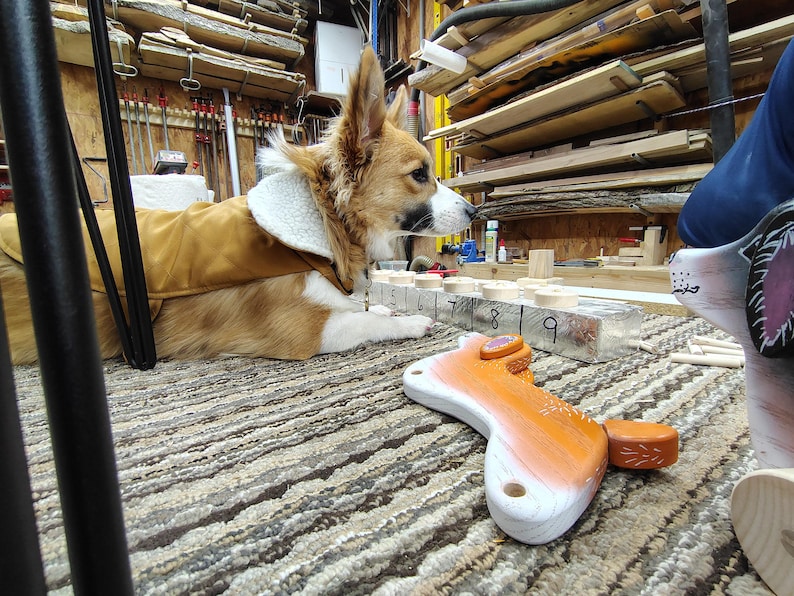 May include: A brown and white dog wearing a brown jacket is lying on a striped rug. The dog is looking at a wooden toy with numbers 1 through 9 on it. The toy is on a gray surface.