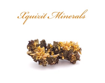 Wulfenite, Mimetite, Mina Ojuela, Mapimi, Mexico (28)