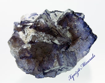 Fluorite, Melchor Muzquiz, Coahuila, Mexico (52)