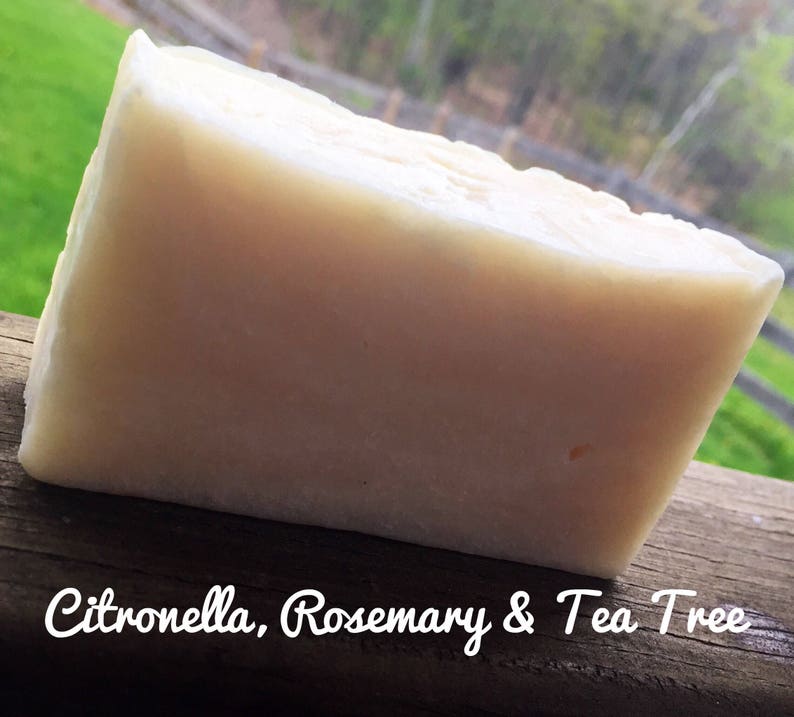 Citronella, Rosemary & Tea Tree Soap, Bug and Tick Repellent Soap, Soap, TeaTree Soap, Bug Soap, Rosemary Soap, Outdoor Soap, Camping Soap 画像 3