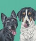 Pet family portraits. Custom dog portrait. Pet portraits. Custom portrait from photo. Custom drawing. Dog. Animals. Gift for. 