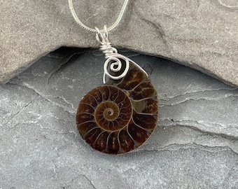 May include: A silver chain necklace with a brown ammonite fossil pendant. The fossil is wrapped in silver wire and has a spiral pattern.