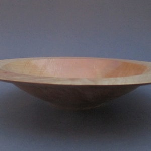 Shallow curly maple bowl # 580