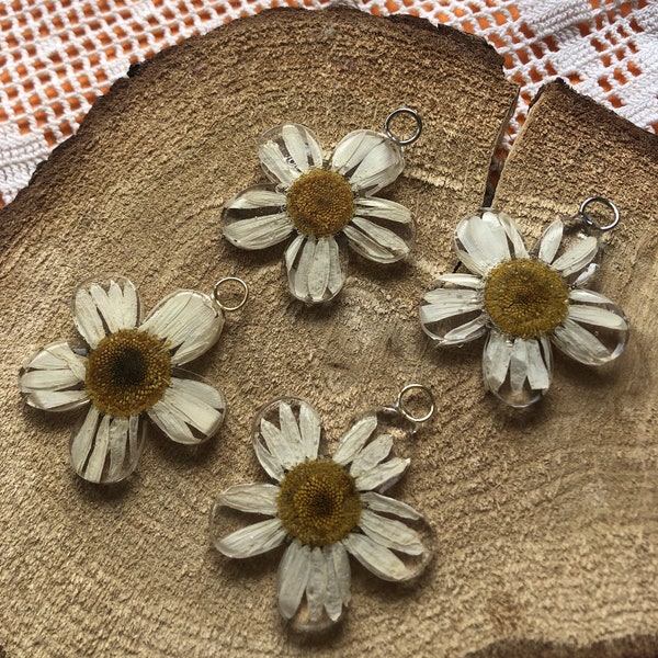 Boucles d'oreilles ou pendentifs fleurs séchées marguerite en résine epoxy