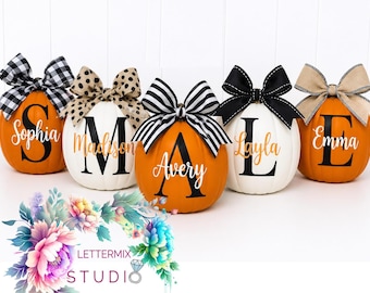 Custom Pumpkin: Thanksgiving and Fall Door Decor (Personalized Vinyl)