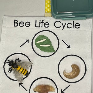 May include: White fabric bag with the text "Bee Life Cycle" embroidered on it. The bag has four circles with embroidered lines around them. Each circle contains a different stage of the bee life cycle: egg, larva, pupa, and adult bee. The bag is attached to a yellow and white polka dot ribbon.