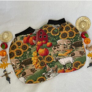 Fall Stereognostic or Mystery Mitts with Shapes and Lesson  - Montessori - Home School