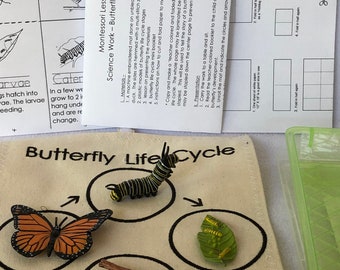 Butterfly Life Cycle -  ALL ITEMS INCLUDED Montessori Sorting Mats - Science