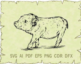 Free Free 350 Baby Pig Svg SVG PNG EPS DXF File
