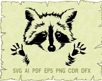 Download Raccoon Svg Etsy