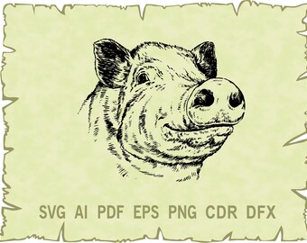 Download Art Collectibles Clip Art Glowforge Pig Clipart Pig Svg Png Cute Pig Svg Ai Cdr Pdf Svg Pig Vector Svg Files For Cricut Dxf Eps Farm Svg