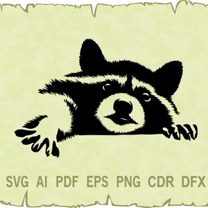 Raccoon SVG , Raccoon vector , Raccoon clipart , animal svg , Raccoon silhouette , Fichiers pour cricut , glowfordge , svg , pdf , ai , png .