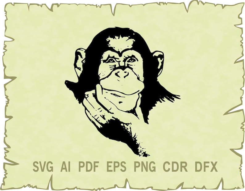 Ai Monkey Vector Eps Monkey Svg Cdr Monkey Clipart Png Svg Files For Cricut Svg Dxf Pdf Glowforge Animal Svg Clip Art Art Collectibles Deshpandefoundationindia Org