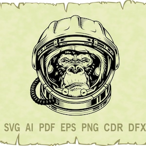 Monkey vector , Monkey svg , Monkey clipart , Animal SVG , SVG files for Cricut , glowforge , CDR , Pdf , Ai , Png , Eps , Svg,Dxf