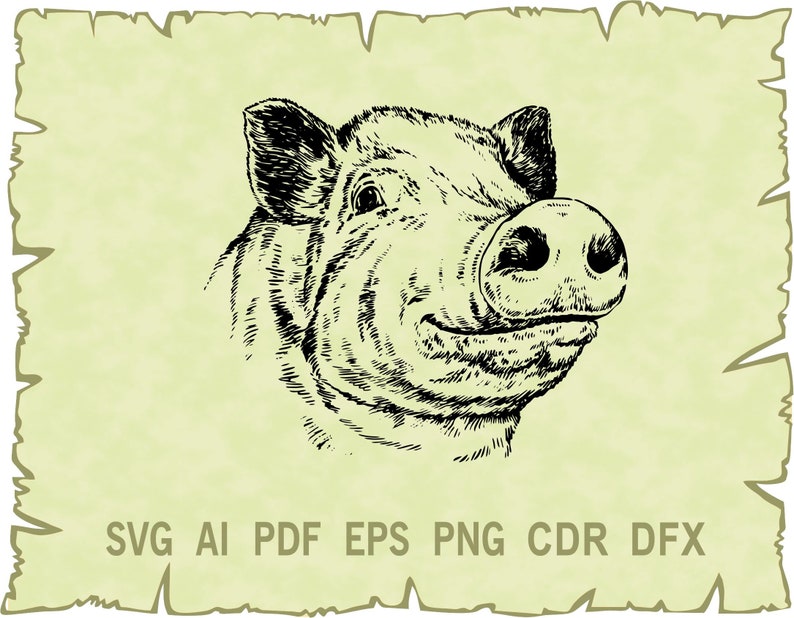 Download Clip Art Art Collectibles Pig Vector Cdr Eps Pig Svg Pdf Farm Svg Glowforge Ai Pig Clipart Png Cute Pig Svg Svg Files For Cricut Dxf Svg