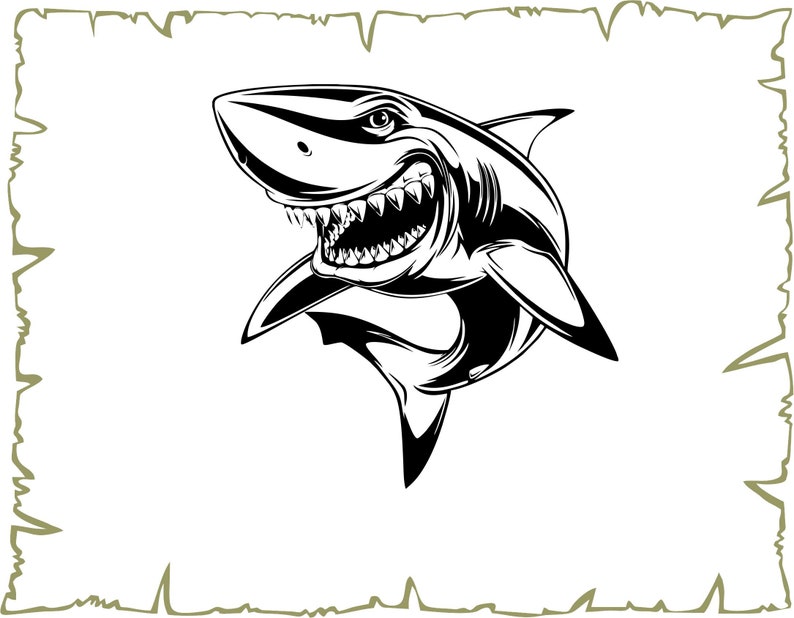 Shark Vector Pdf Glowforge Cdr Eps Ai Svg Files For Cricut Shark Clipart Ocean Svg Shark Svg Baby Shark Svg Png Svg Clip Art Art Collectibles Shark Vector Pdf Glowforge Cdr Eps Ai Svg Files For Cricut Shark Clipart Ocean Svg Shark Svg Baby Shark Svg Png Svg Clip Art Art Collectibles