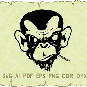 Monkey vector , Monkey svg , Monkey clipart , Animal SVG , SVG files for Cricut , glowforge , CDR , Pdf , Ai , Png , Eps , Svg,Dxf