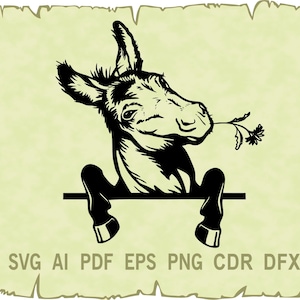 Donkey vector , Donkey svg , Donkey clipart , Animal SVG , Farm svg ,  SVG files for Cricut , glowforge , CDR ,Pdf, Ai,Png , Eps , Svg , Dxf