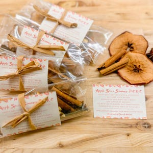 Może przedstawiać: Zestaw czterech zestawów do gotowania w powolnym ogniu z przyprawami jabłkowymi, każdy zawierający patyczki cynamonu, suszone plasterki jabłek i inne przyprawy. Zestawy są zapakowane w przezroczyste plastikowe torebki z przywiązaną brązową papierową etykietą. Etykieta zawiera tekst "Apple Spice Simmer Pot Kit" i instrukcje użytkowania.