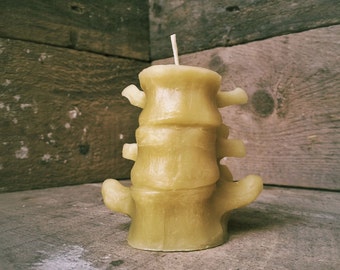 Small Human Spine Candle, Spooky Beeswax Halloween Candle