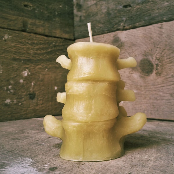 Small Human Spine Candle, Spooky Beeswax Halloween Candle