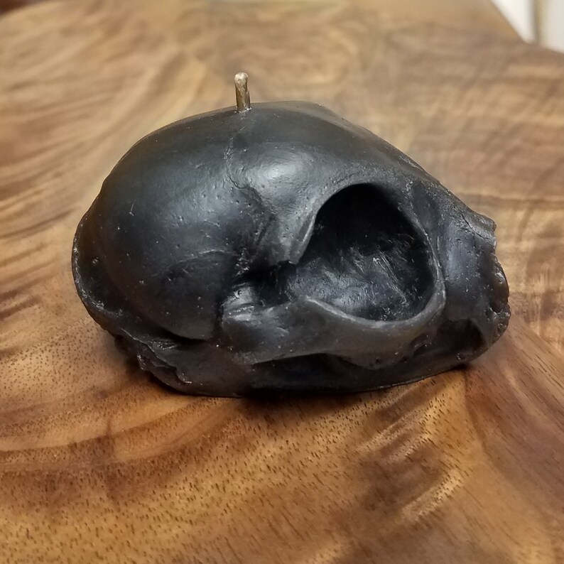 Black Kitten Skull Beeswax Candle image 2