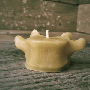 Beeswax Vertebrae Votive Candles PACK OF 3 image 3