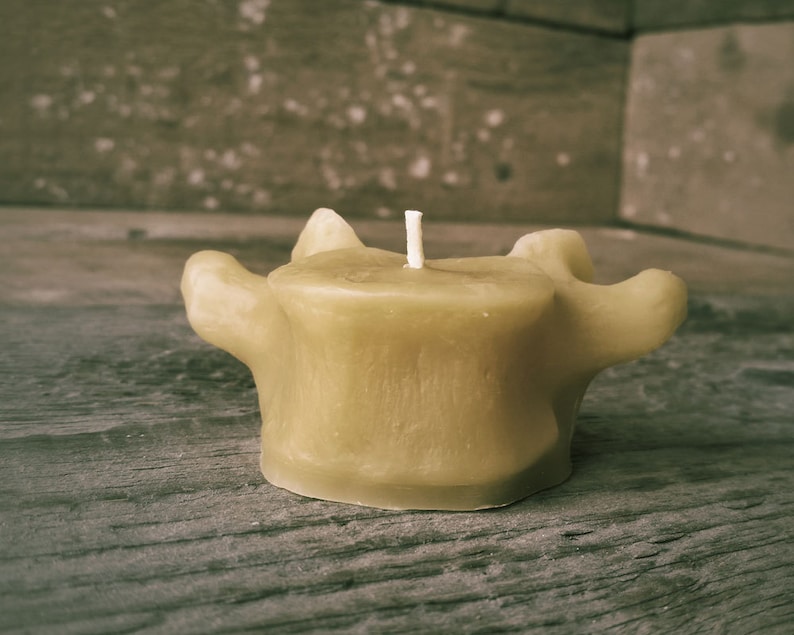 Beeswax Vertebrae Votive Candles PACK OF 3 image 3