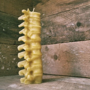 Large Human Spine Candle, Spooky Beeswax Halloween Candle immagine 2