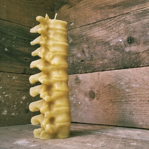 Large Human Spine Candle, Spooky Beeswax Halloween Candle image 2