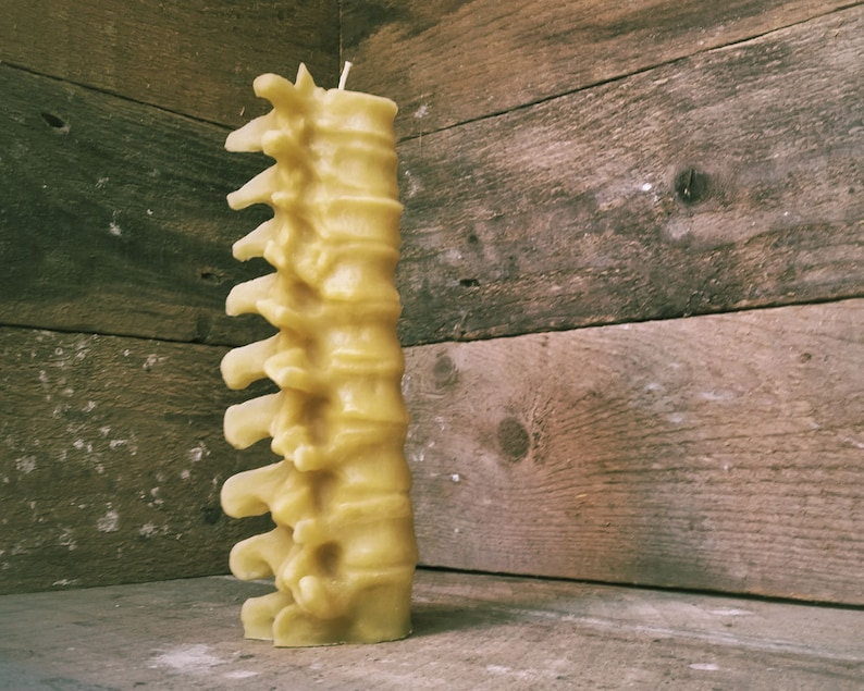 Large Human Spine Candle, Spooky Beeswax Halloween Candle image 2