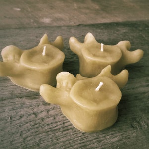 Beeswax Vertebrae Votive Candles PACK OF 3 image 1