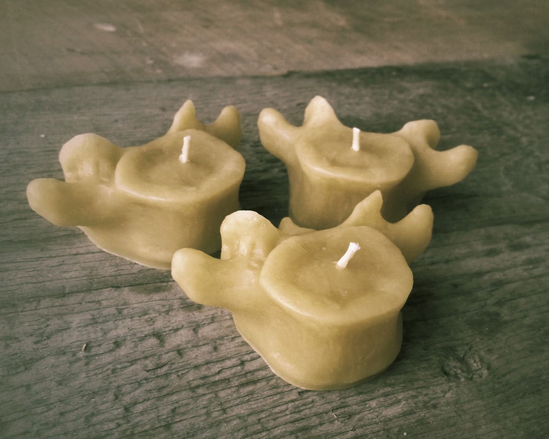 Beeswax Vertebrae Votive Candles PACK OF 3 image 1