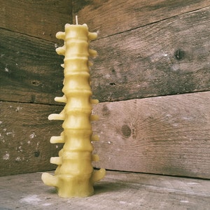 Large Human Spine Candle, Spooky Beeswax Halloween Candle image 1