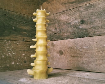 Large Human Spine Candle, Spooky Beeswax Halloween Candle