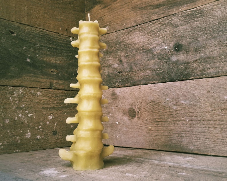 Large Human Spine Candle, Spooky Beeswax Halloween Candle image 1