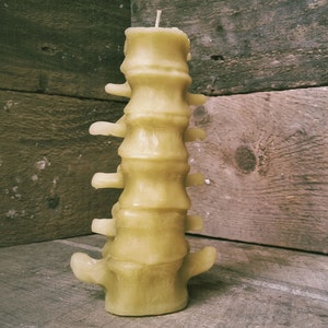 Medium Human Spine Candle, Spooky Beeswax Halloween Candle