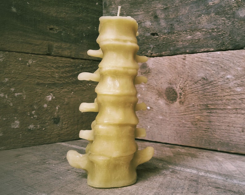 Medium Human Spine Candle, Spooky Beeswax Halloween Candle image 1
