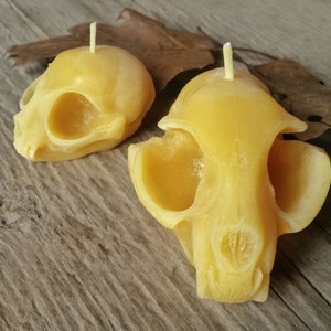 Kitten Skull Beeswax Candle All Natural Pure Beeswax Candle image 4