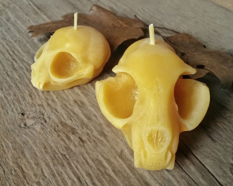 Kitten Skull Beeswax Candle All Natural Pure Beeswax Candle image 4